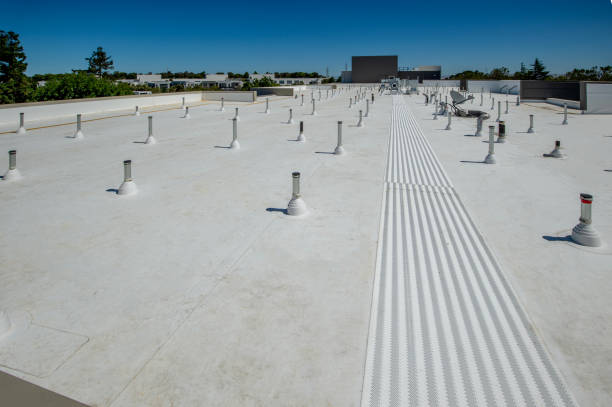 Best Roof Moss and Algae Removal  in Adamsville, AL